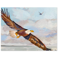 c2017e4a-b0bc-49aa-a869-3fc6eb03d7ee