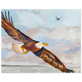 ede7db95-9556-4397-8f0d-8bc337e6fa43